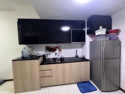 Loft @ Rangoon (D8), Apartment #631985971
